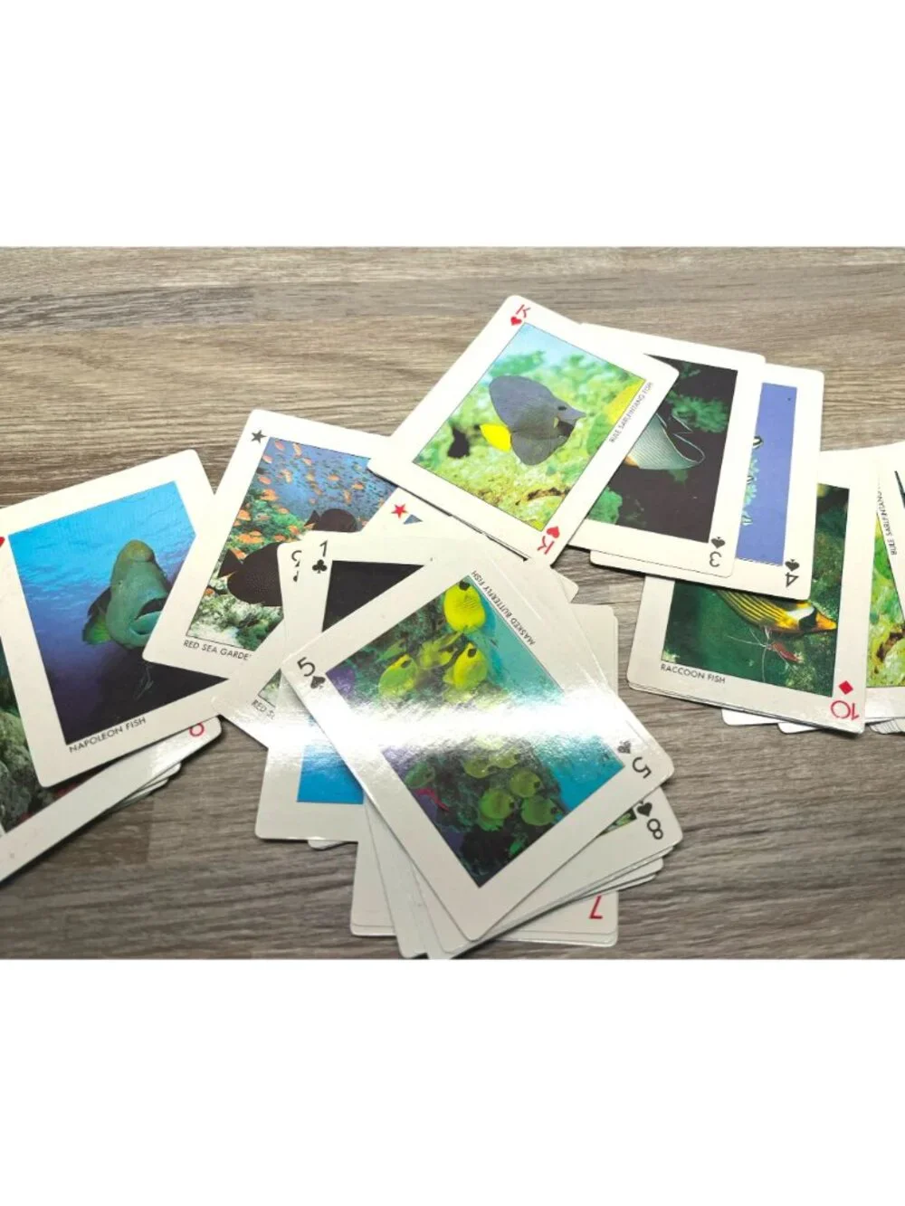Vintage Ocean Playing Cards Deck Dive The Red Sea Colorful Fish Prints Complete